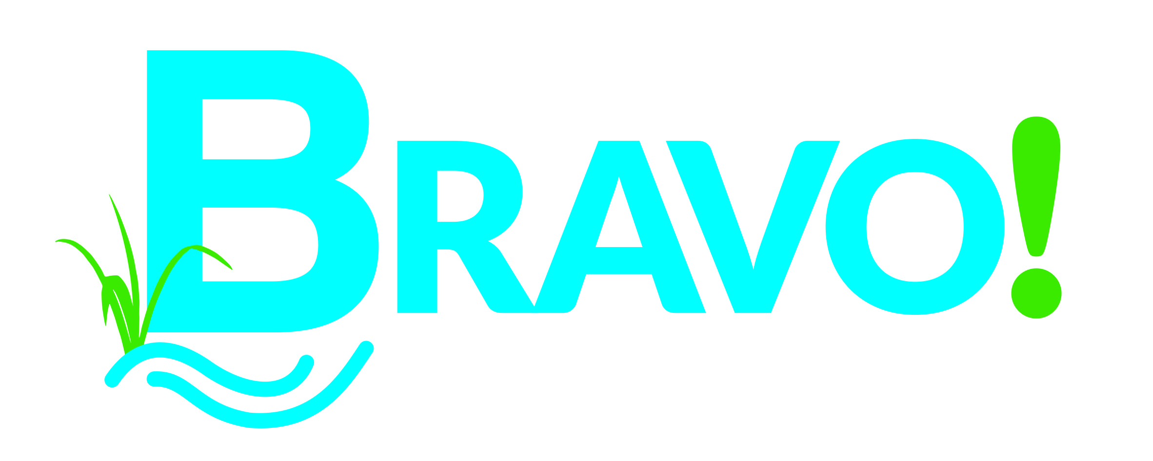 Wikvereniging Bravo